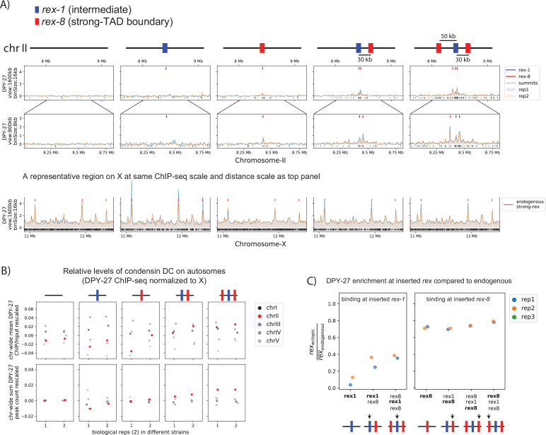 Figure 5—figure supplement 1.