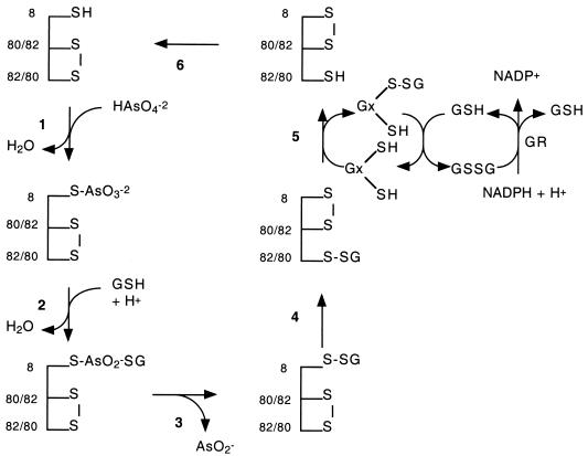 FIG. 5.