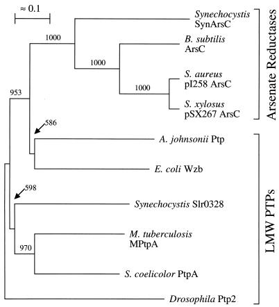 FIG. 6.