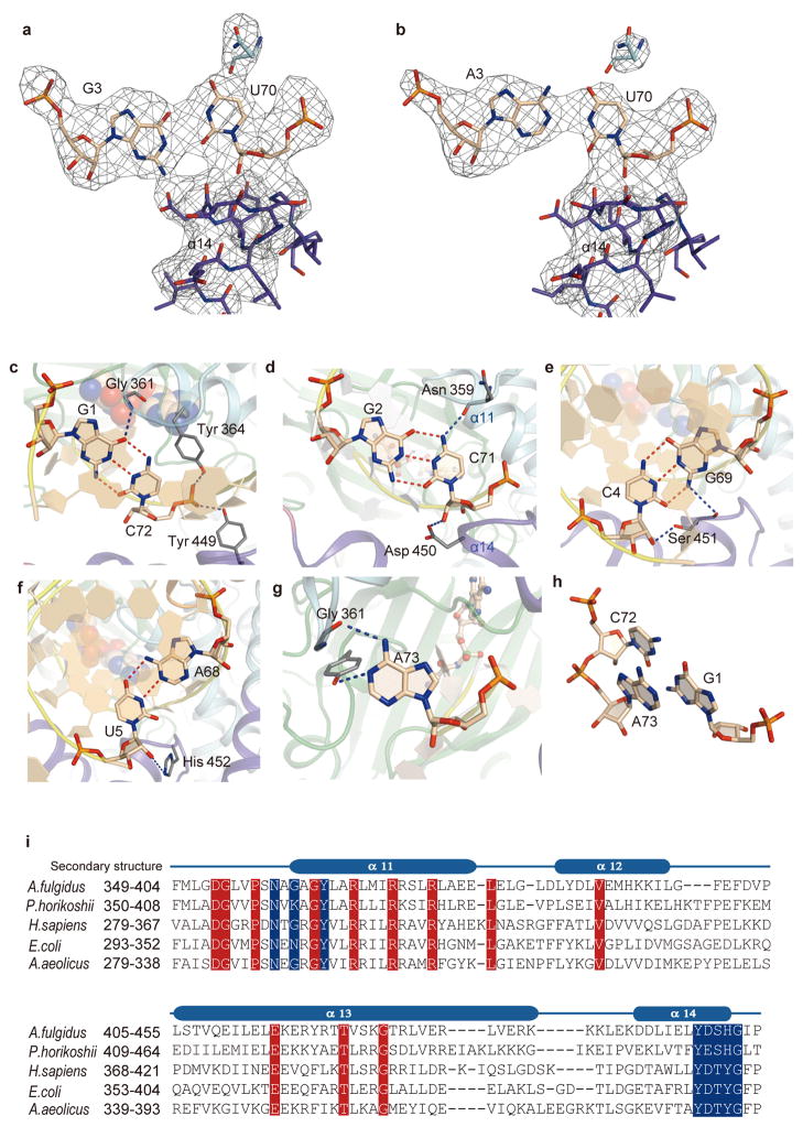 Extended Data Figure 4