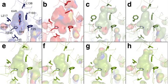 Fig. 7