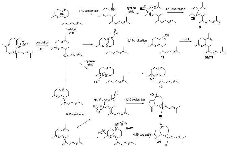 Scheme 1