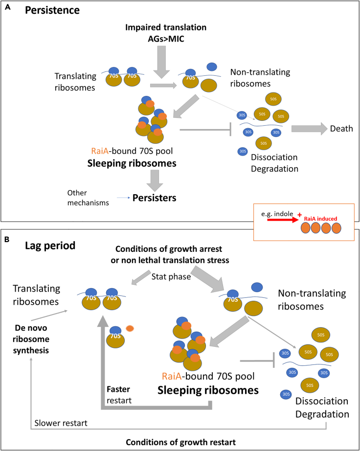 Figure 10