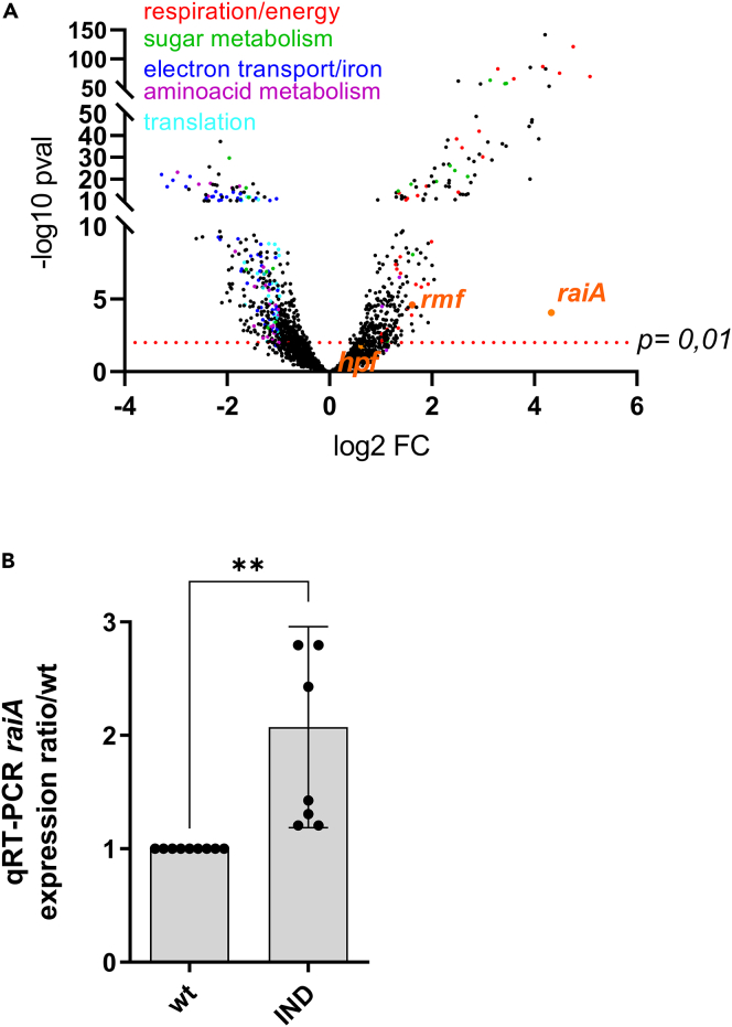 Figure 3