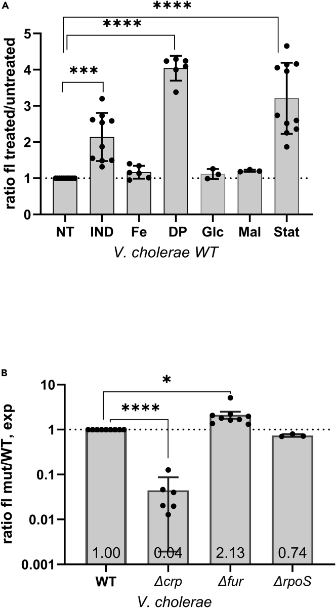 Figure 4