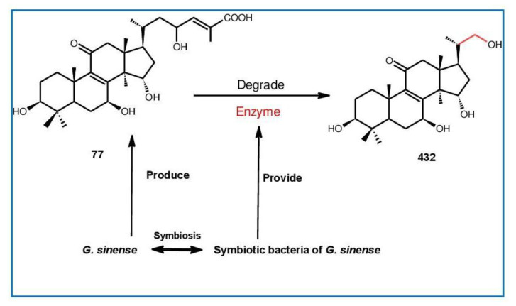 Figure 14