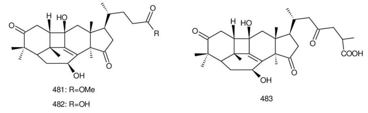 Figure 29