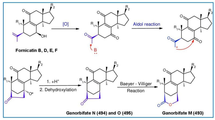 Figure 34