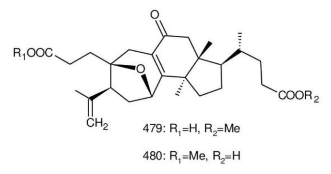 Figure 27
