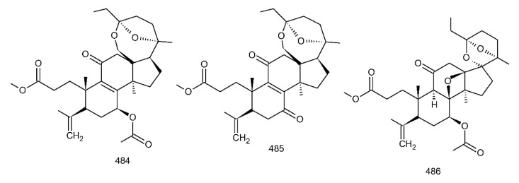Figure 31