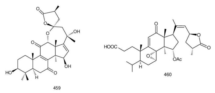 Figure 23