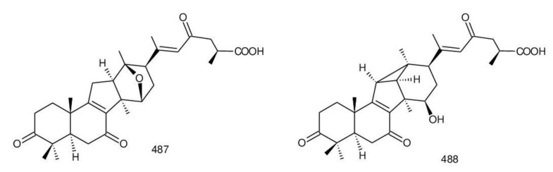 Figure 32
