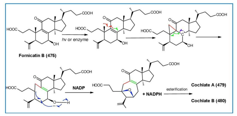 Figure 28