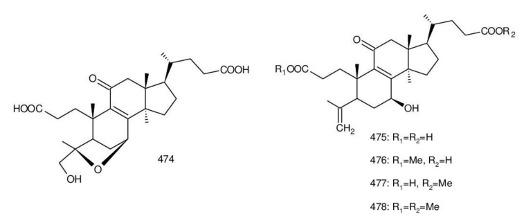 Figure 26