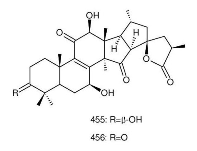 Figure 21