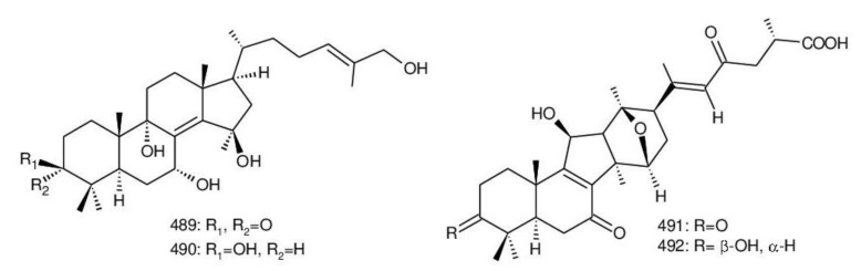 Figure 33