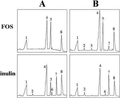 FIG. 8.