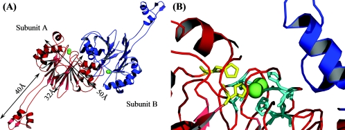 FIG. 1.