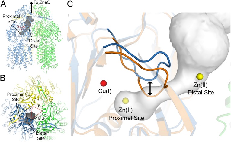 Fig. 4.