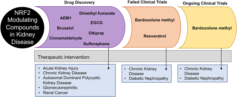 Figure 3: