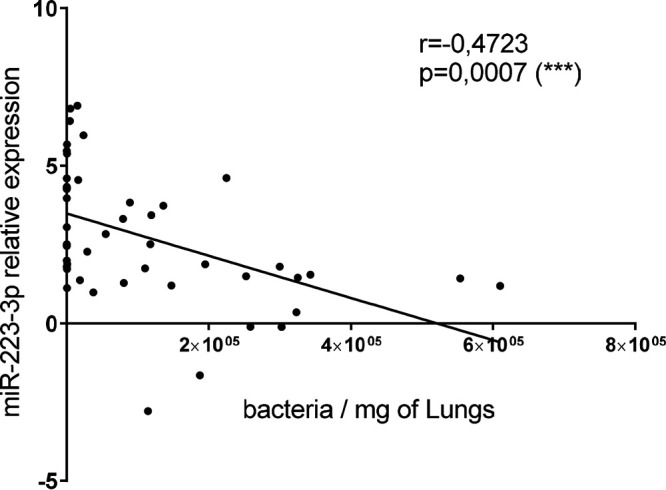 FIG 2