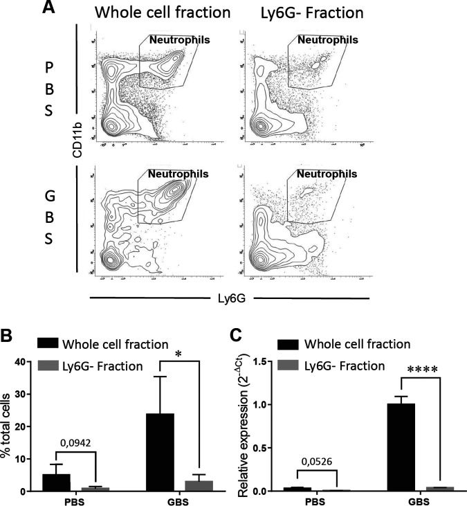 FIG 6