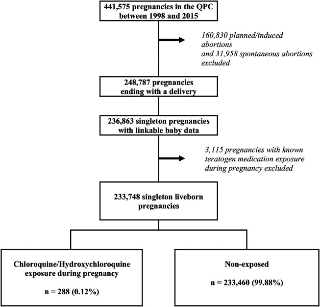 FIGURE 1