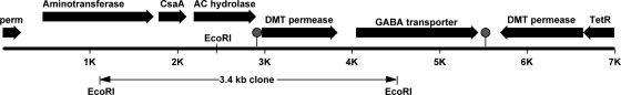 FIG. 1.