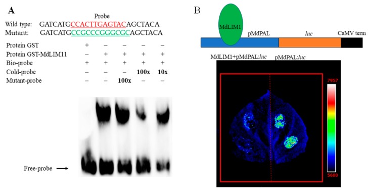 Figure 6