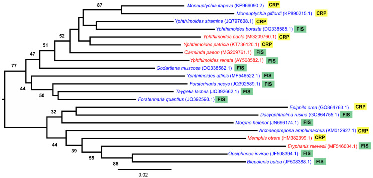 Figure 5