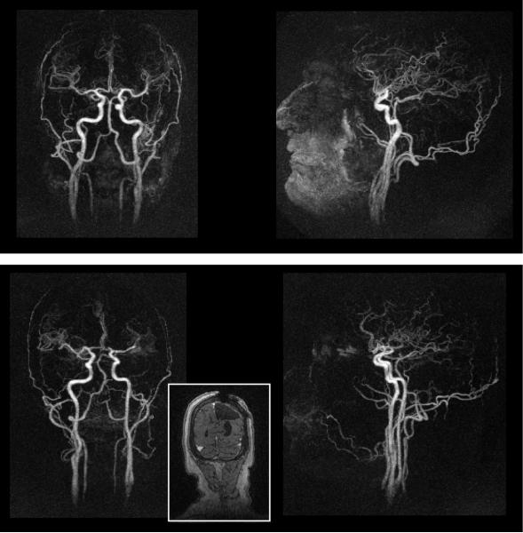 Fig. 8