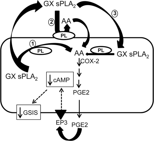 FIGURE 7.