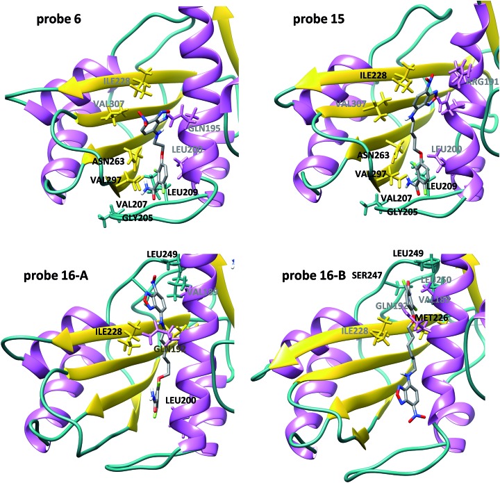 Fig. 2