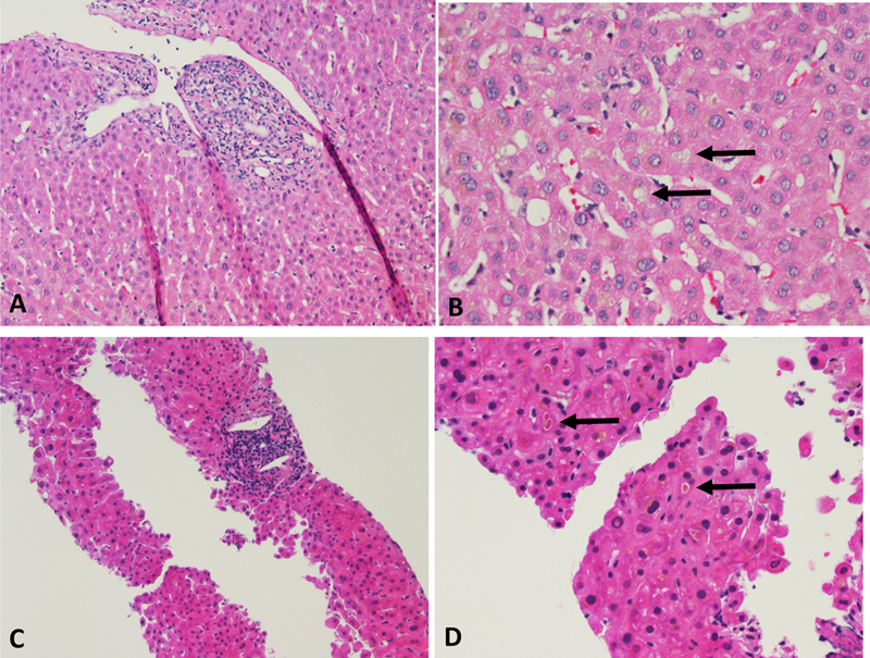 Figure 2-