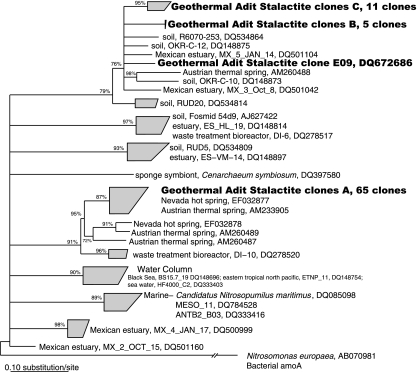 FIG. 5.