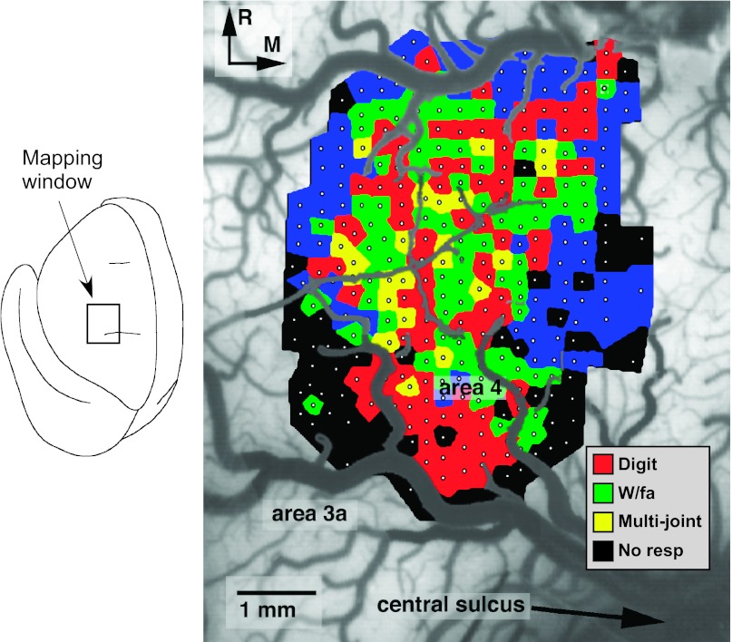 Fig. 2.