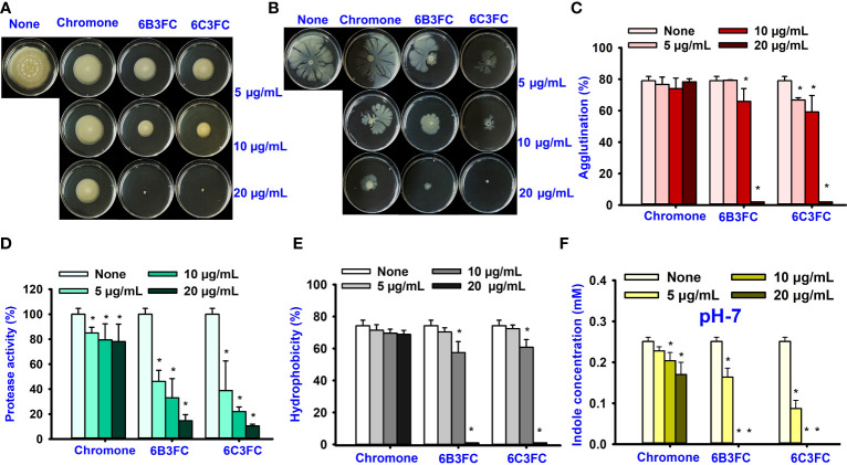 Figure 2