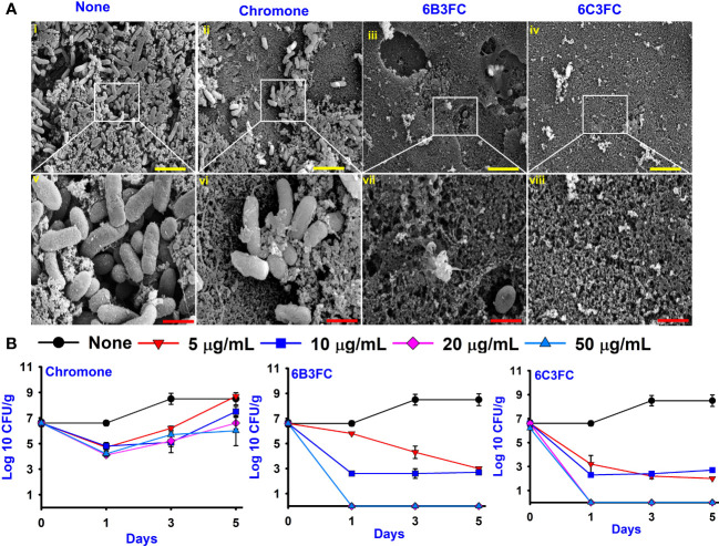 Figure 3