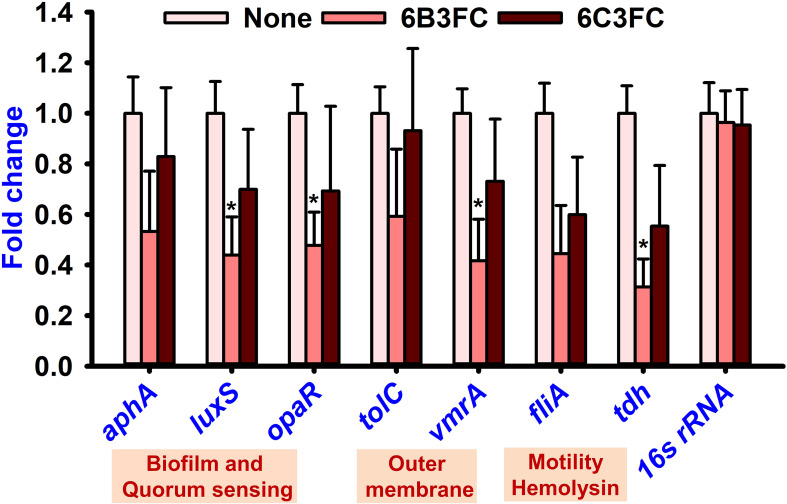 Figure 5