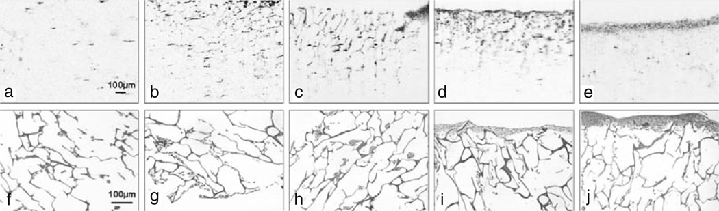 Fig. 13.2