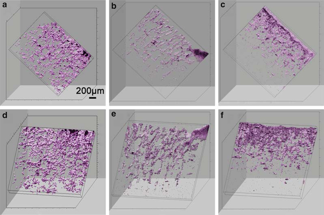 Fig. 13.3