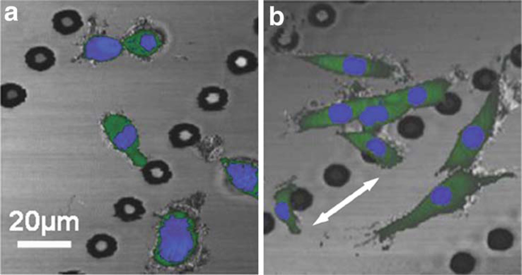 Fig. 13.5