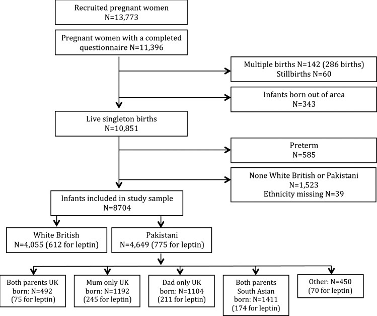 Figure 1