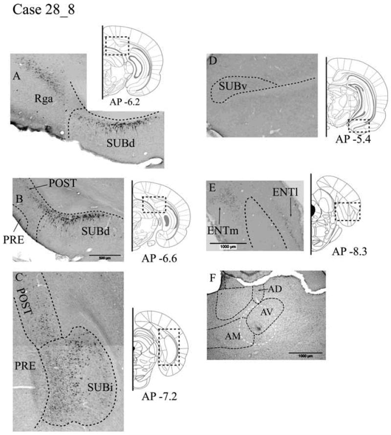 Fig. 8