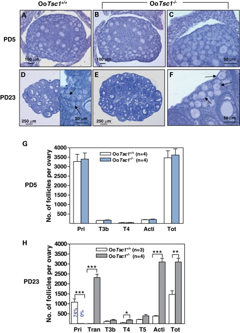 Figure 3.