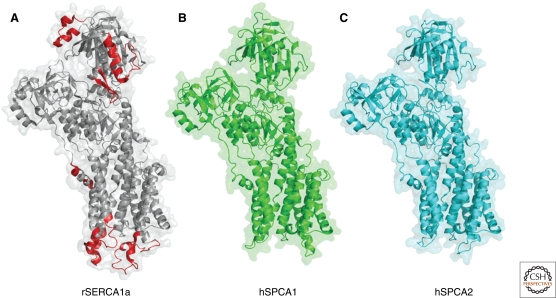 Figure 3.