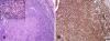 Fig. 4