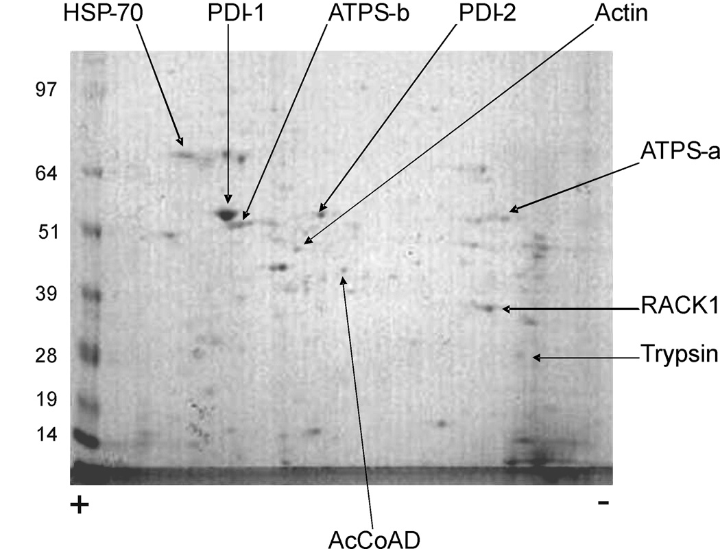 Fig. 9