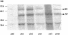 FIG. 5.