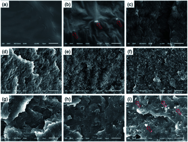 Fig. 28